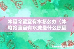 冰箱冷藏室有水珠是什么原因 冰箱冷藏室有水怎么办