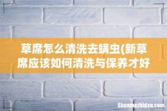 新草席应该如何清洗与保养才好 草席怎么清洗去螨虫