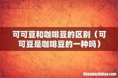 可可豆是咖啡豆的一种吗 可可豆和咖啡豆的区别