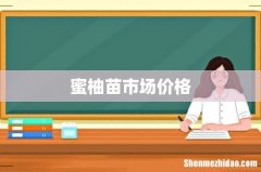 蜜柚苗市场价格
