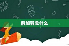前加羽念什么