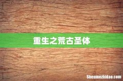重生之荒古圣体