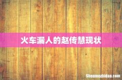 火车漏人的赵传慧现状