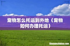 宠物如何办理托运 宠物怎么托运到外地