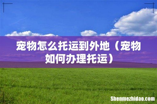 宠物如何办理托运 宠物怎么托运到外地