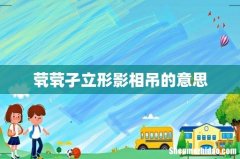 茕茕孑立形影相吊的意思