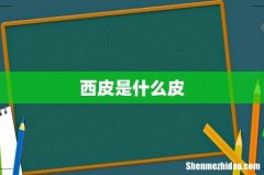 西皮是什么皮