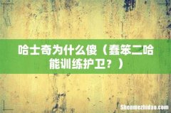 蠢笨二哈能训练护卫？ 哈士奇为什么傻