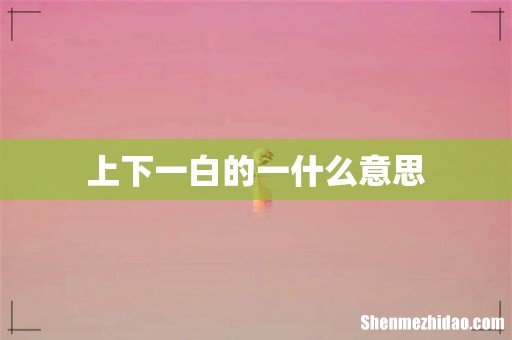 上下一白的一什么意思