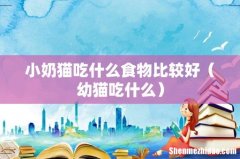 幼猫吃什么 小奶猫吃什么食物比较好