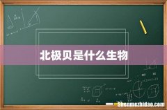 北极贝是什么生物