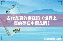 世界上真的存在中国龙吗 古代龙真的存在吗