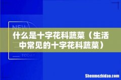生活中常见的十字花科蔬菜 什么是十字花科蔬菜