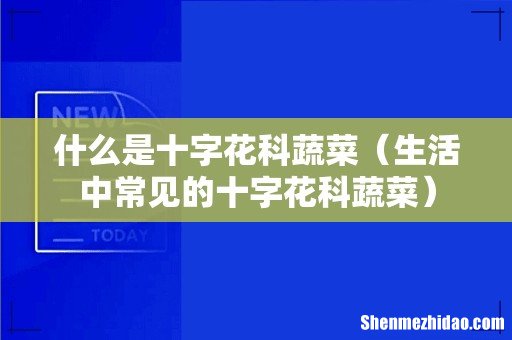 生活中常见的十字花科蔬菜 什么是十字花科蔬菜