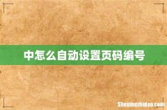 中怎么自动设置页码编号