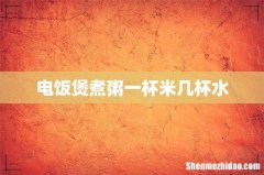 电饭煲煮粥一杯米几杯水