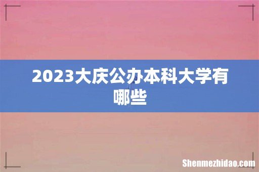 2023大庆公办本科大学有哪些