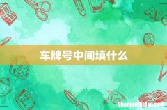 车牌号中间填什么