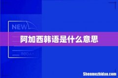 阿加西韩语是什么意思