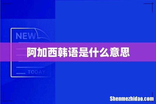 阿加西韩语是什么意思