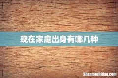 现在家庭出身有哪几种