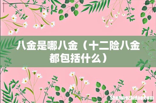 十二险八金都包括什么 八金是哪八金