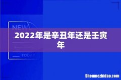 2022年是辛丑年还是壬寅年