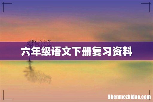 六年级语文下册复习资料