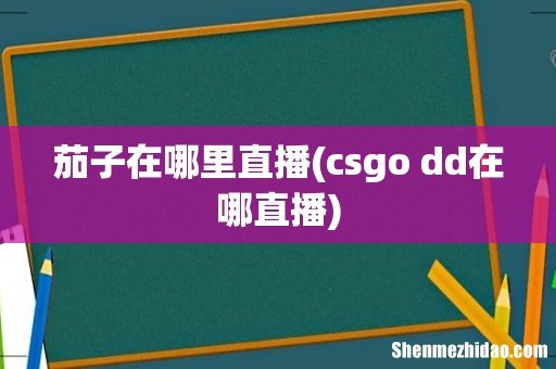 csgo dd在哪直播 茄子在哪里直播