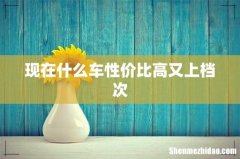 现在什么车性价比高又上档次