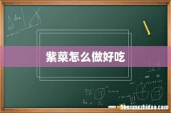 紫菜怎么做好吃