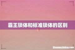 霸王锁体和标准锁体的区别