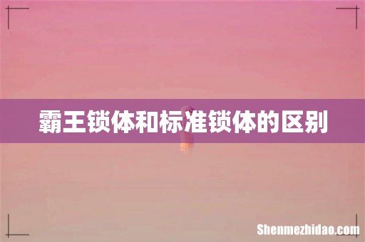 霸王锁体和标准锁体的区别
