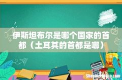 土耳其的首都是哪 伊斯坦布尔是哪个国家的首都