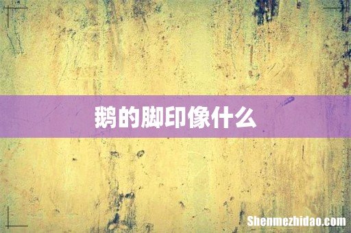 鹅的脚印像什么