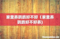 家里养鹦鹉好不好（家里养鹦鹉好不好养)