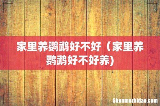 家里养鹦鹉好不好(家里养鹦鹉好不好养)