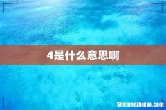 4是什么意思啊