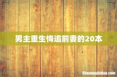 男主重生悔追前妻的20本