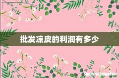 批发凉皮的利润有多少