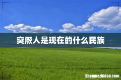 突厥人是现在的什么民族