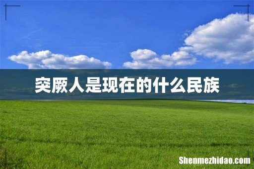 突厥人是现在的什么民族