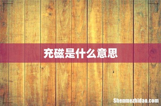 充磁是什么意思