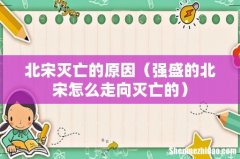 强盛的北宋怎么走向灭亡的 北宋灭亡的原因