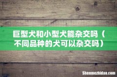不同品种的犬可以杂交吗 巨型犬和小型犬能杂交吗