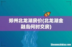 北龙湖金融岛何时交房 郑州北龙湖房价