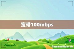 宽带100mbps