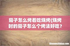 烧烤时的茄子怎么个烤法好吃？ 茄子怎么烤着吃烧烤