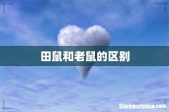 田鼠和老鼠的区别