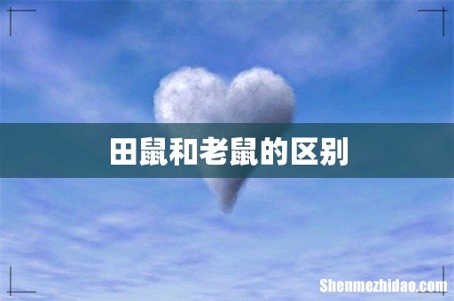 田鼠和老鼠的区别